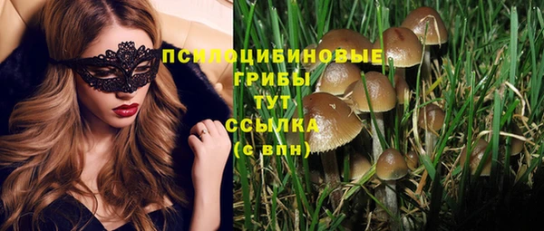 герыч Верхний Тагил