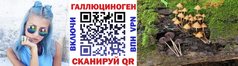 купить закладку  Невинномысск  Галлюциногенные грибы мицелий 